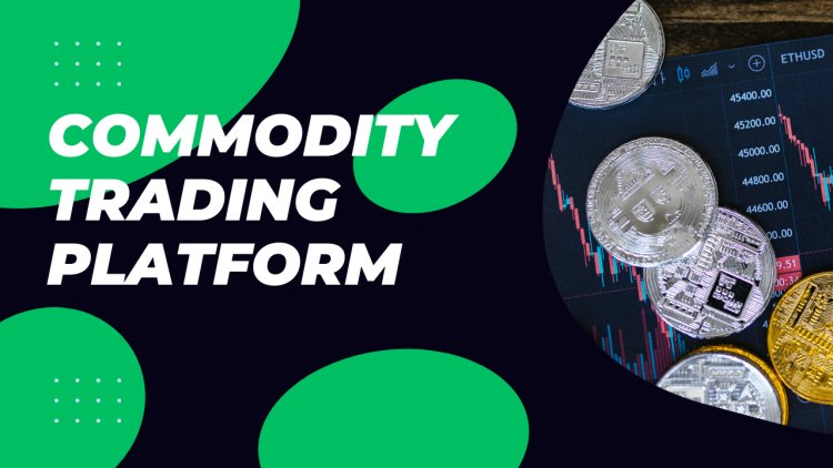 Insights into Commodity Trading Platform: Unveiling Dynamics