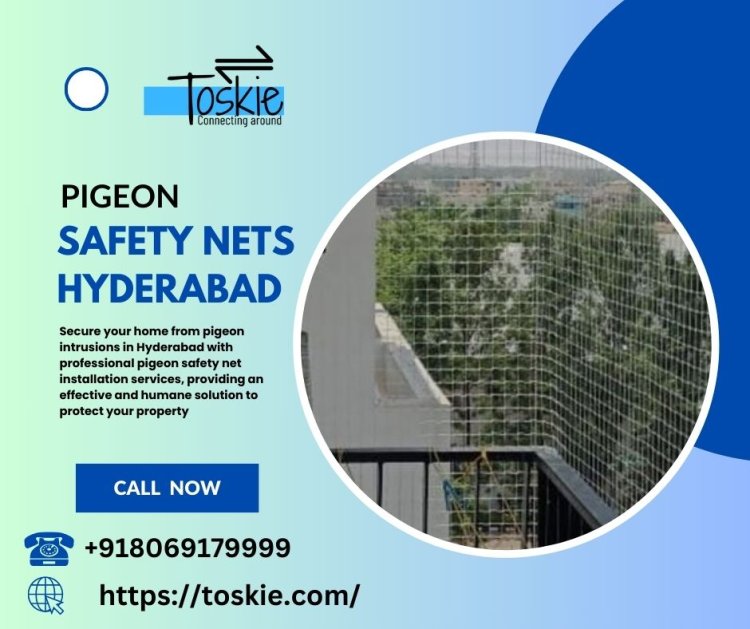 Bird Net Installation Services Hyderabad