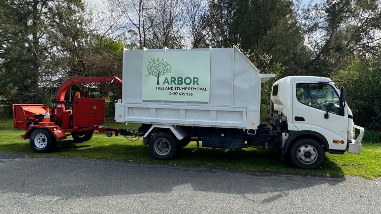 Arbor Tree and Stump Removal - Your First Choice for Hazardous Tree Removal