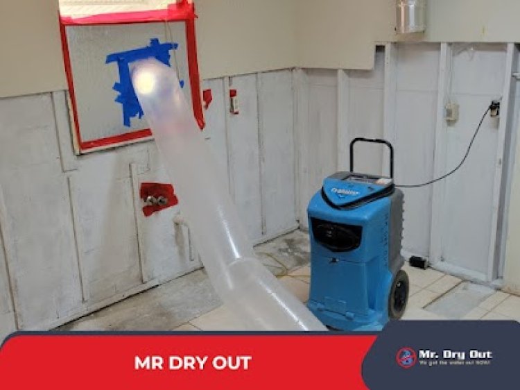 Water extraction company | Mr Dry Out