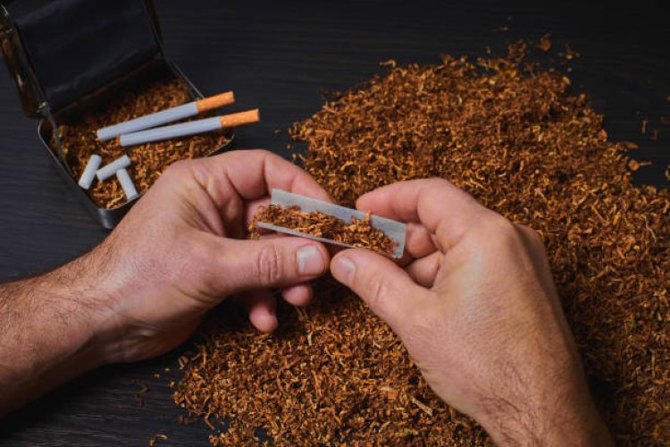 Roll Your Own Tobacco Product Market Research | 2018-2028