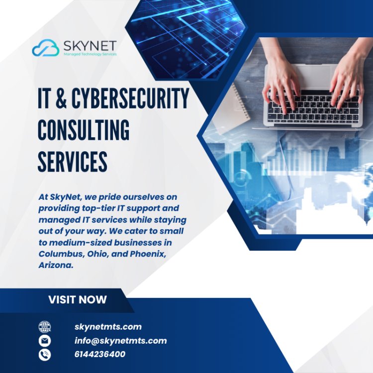 IT & Cybersecurity Consulting Services | SkyNet MTS