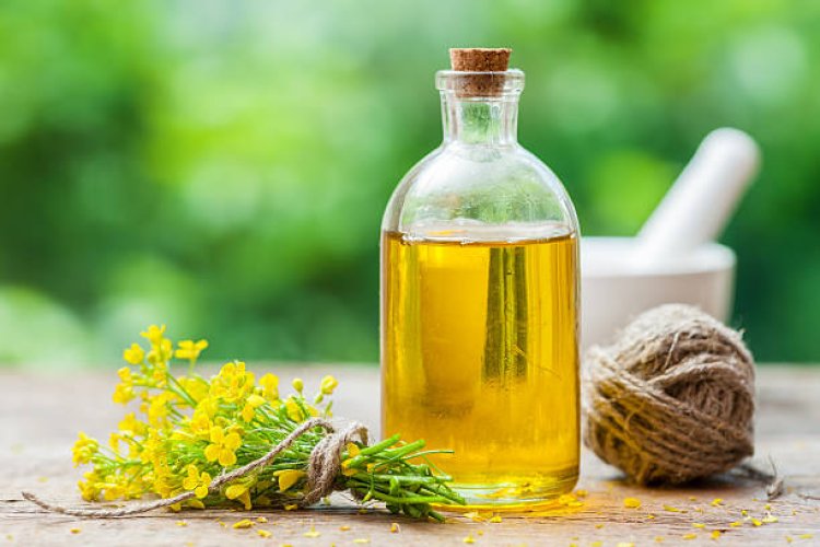 Canola Oil Market To Growth, Observe Latest Development And Precise Outlook 2018-2028