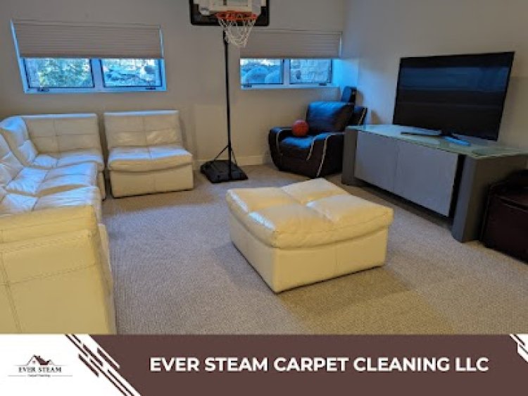 Cheap carpet stain removal | Ever Steam Carpet Cleaning LLC