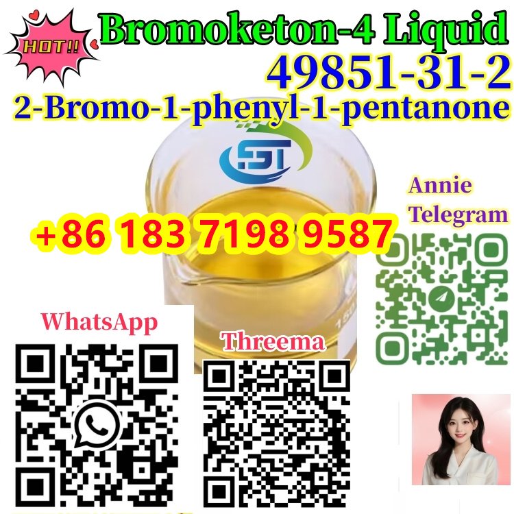 CAS 49851-31-2 2-Bromo-1-phenyl-pentan-1-one C11H13BrO