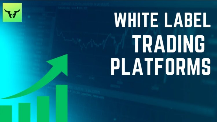 White Label Trading Platforms in USA and its benefits