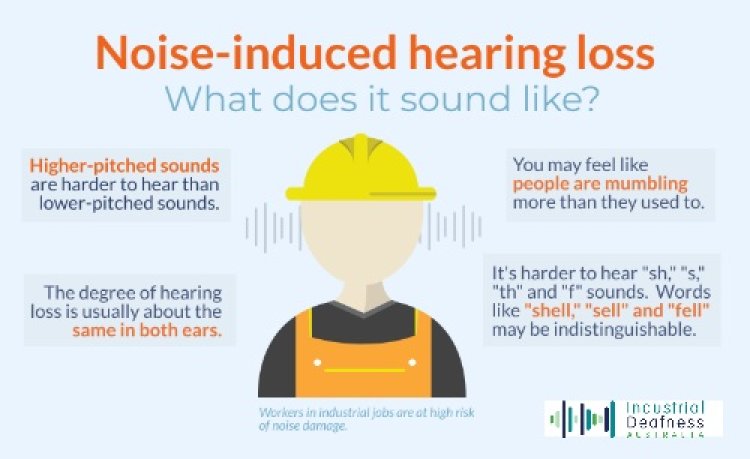 Noise Induced Hearing Loss