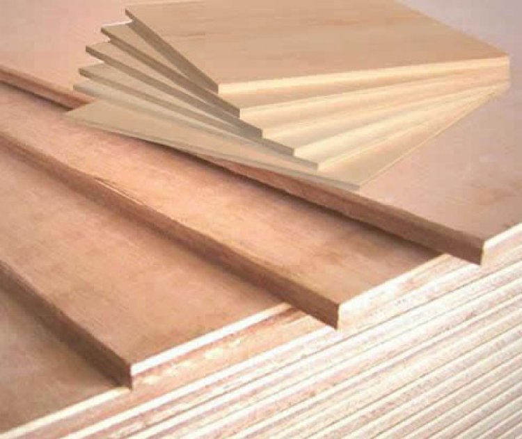 TOP 10 Plywood Suppliers in India