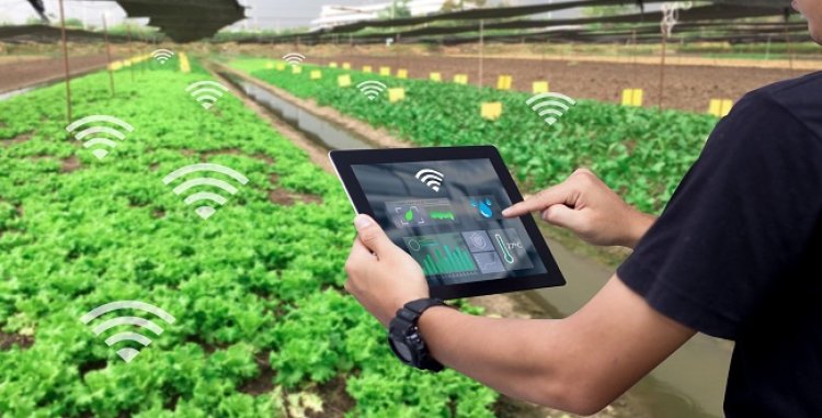 Smart Plantation Management Systems Market to Grow with a CAGR of 5.04% through 2028