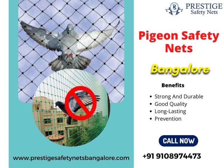 Ensure Pigeon Safety with Reliable Nets in Bangalore