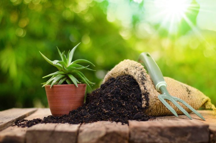 Organic Fertilizer Market is anticipated to Grow with a CAGR of 11.32% through 2028