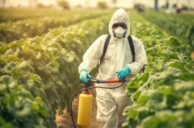 Pesticides Market to Grow with a CAGR of 9.67% through 2028