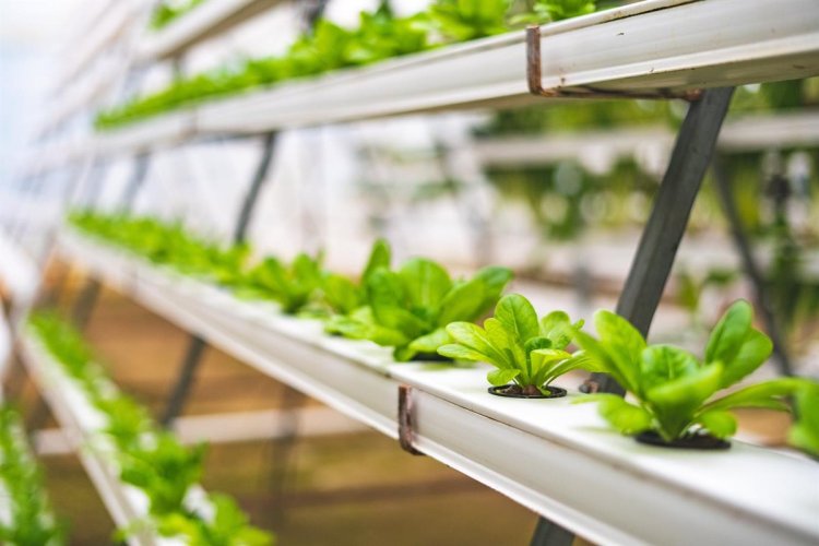 Aquaponics Market to Grow with a CAGR of 8.60% through 2028