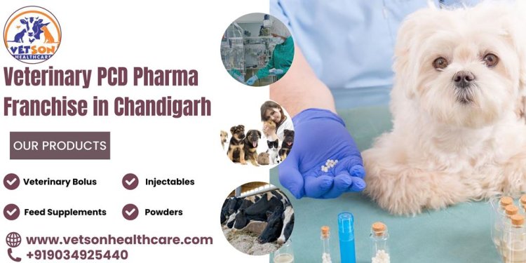 Vetson Healthcare: Revolutionizing Veterinary Care in Chandigarh