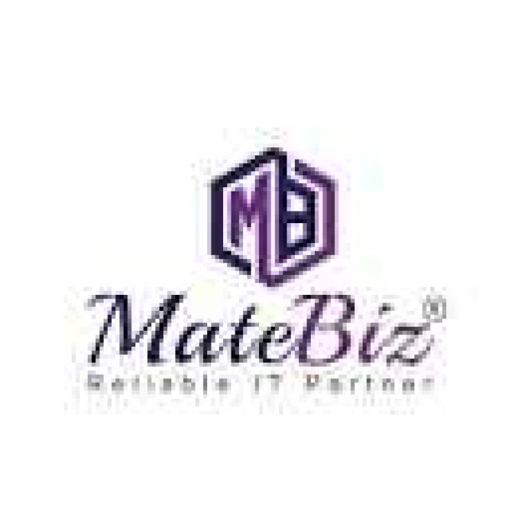 Matebiz Pvt Ltd - Leaders in Online Marketing for Insurance Agencies and Ecommerce