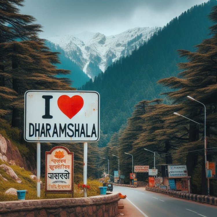 Best Tour Packages to Dharamshala