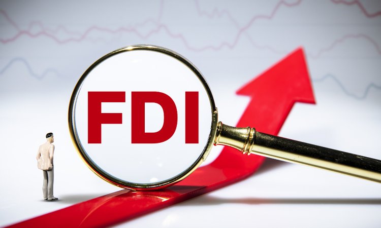What are the Advantages if you invest in FDI (foreign direct investment)?