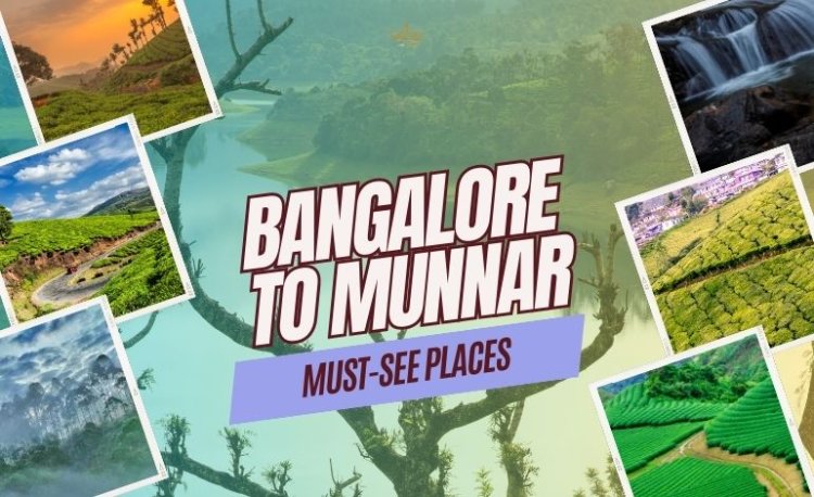 Bangalore to Munnar - Best things to do and places to visit