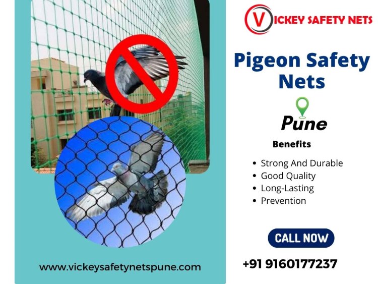 Protect Your Property with Vickey Safety Nets - Pigeon Safety Nets in Pune