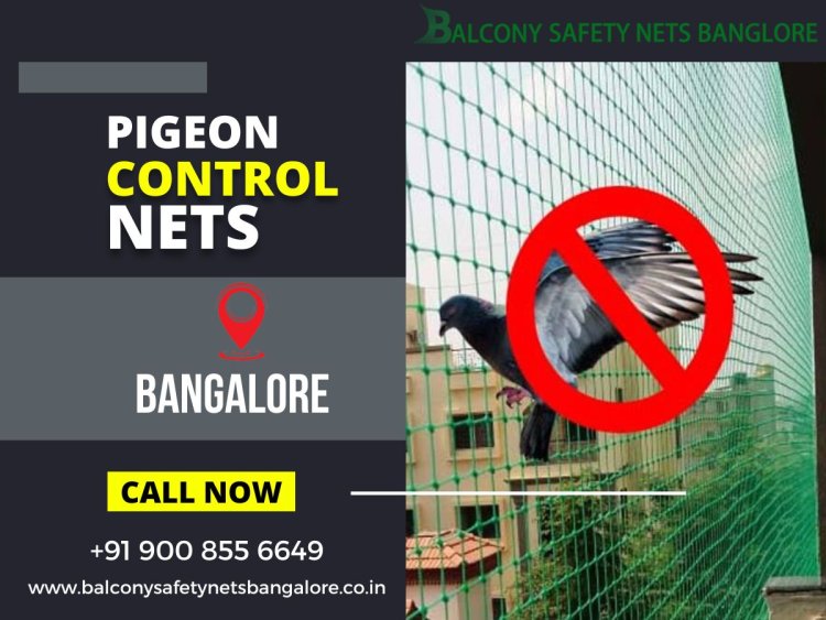 Eradicating Urban Bird Woes: Pigeon Control Nets Take Flight in Bangalore