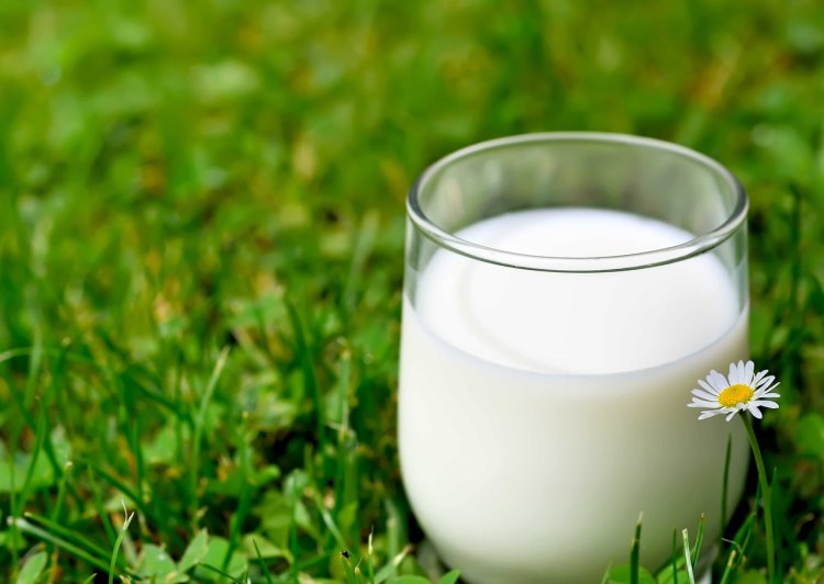 Nourish Naturally: Embrace Health with Desi Gir Cow Milk