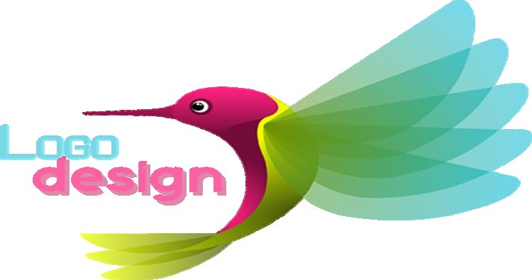 Web Designing Companies in Tirupati | Website Design Company.