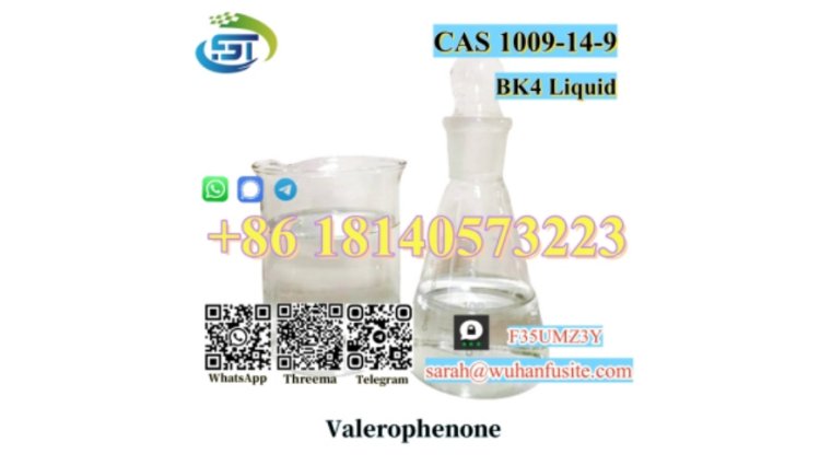 BK4 Liquid Valerophenone CAS 1009-14-9 with Best Price