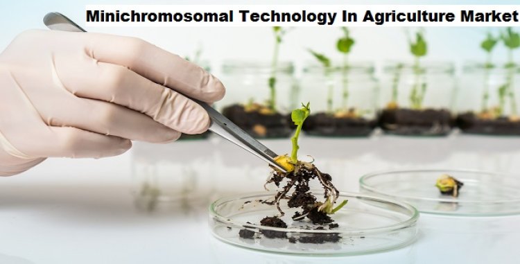 Minichromosomal Technology in Agriculture Market to Grow at a CAGR of 6.25% by 2029