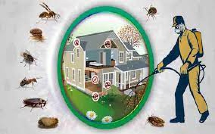 Top List of pest control services in UAE