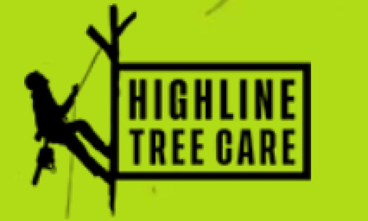 Tree Pruning Geelong