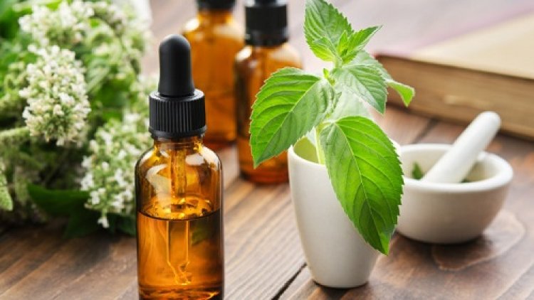 Explore the world of menthol oil manufacturers in Delhi and keep your summer refreshing