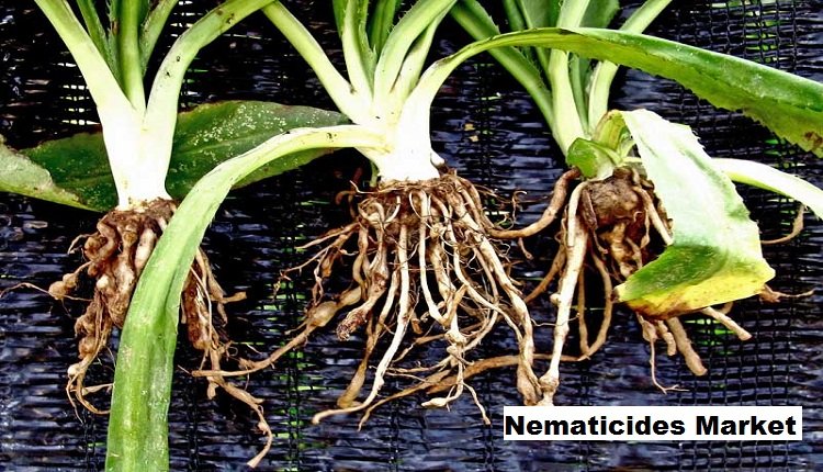 Nematicides Market to Grow with a CAGR of 8.37% through 2029