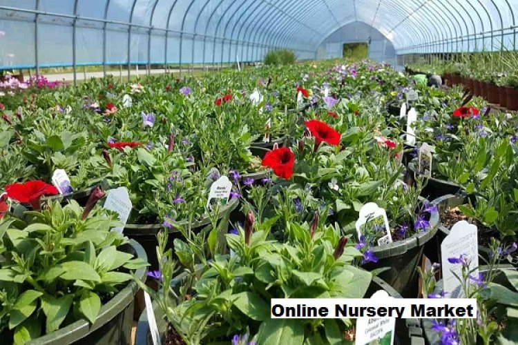 Online Nursery Market to Grow with a CAGR of 7.04% through 2029