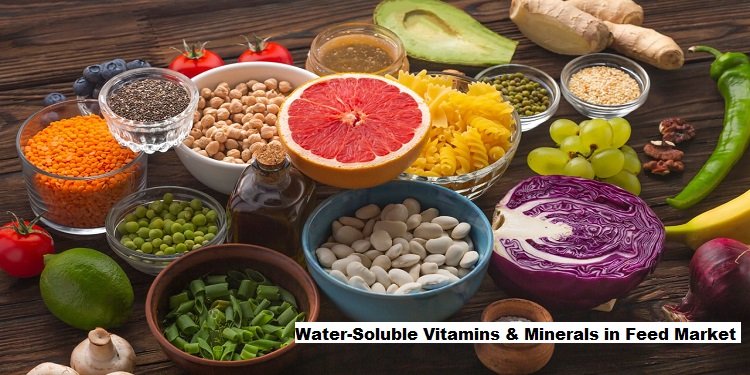 Water-Soluble Vitamins and Minerals in Feed Market to Grow with a CAGR of 7.13% Globally