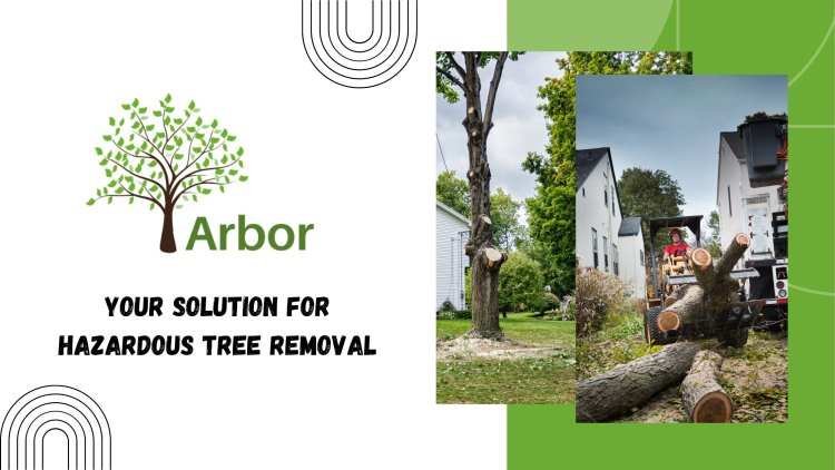 Arbor Tree and Stump Removal - Your Solution for Hazardous Tree Removal