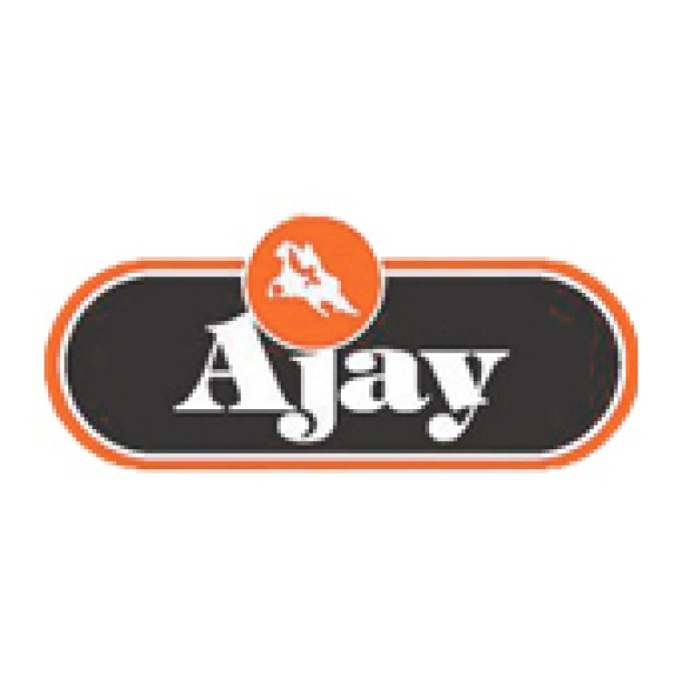 Ajay Industries: Combination Plier Manufacturer