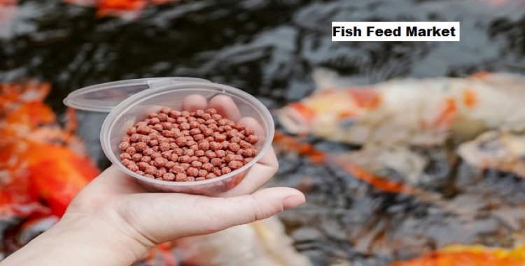 Fish Feed Market to Grow with a CAGR of 8.86% through 2029
