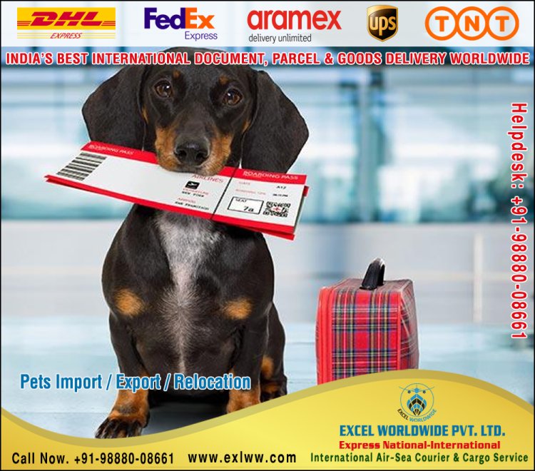 International Air Ship Courier Parcel Cargo Service Company in India Punjab, DHL Fedex Aramex UPS TNT Courier Punjab to Canada