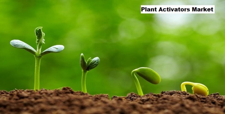 Plant Activators Market to Grow with a CAGR of 6.58% through 2029