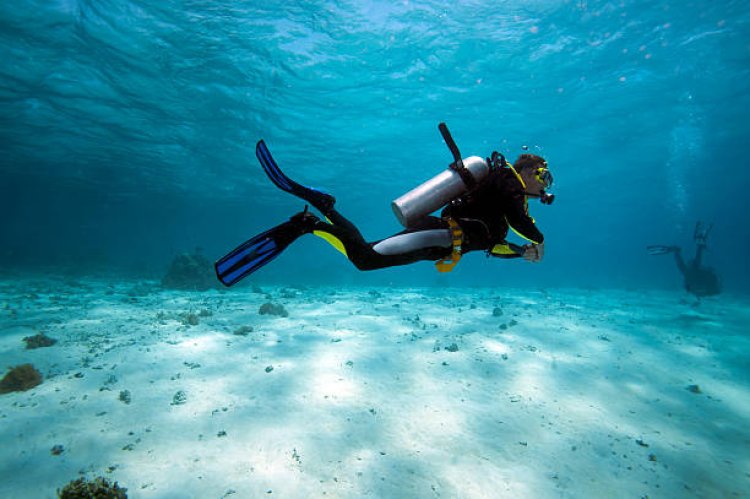 Explore The Best Scuba Diving in Havelock, Andaman Islands