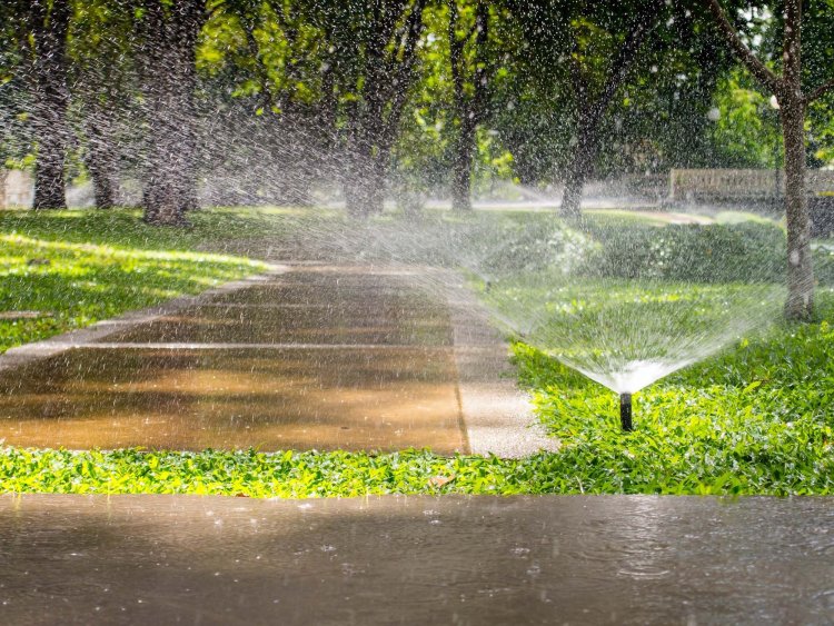 The Ultimate Guide to Sprinklers Installation Services