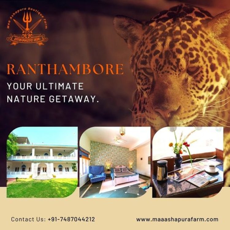 Best Resorts in Ranthambore - Maa Ashapura Farm