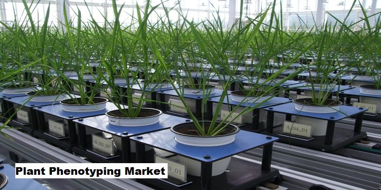Plant Phenotyping Market to Grow with a CAGR of 8.54% through 2029