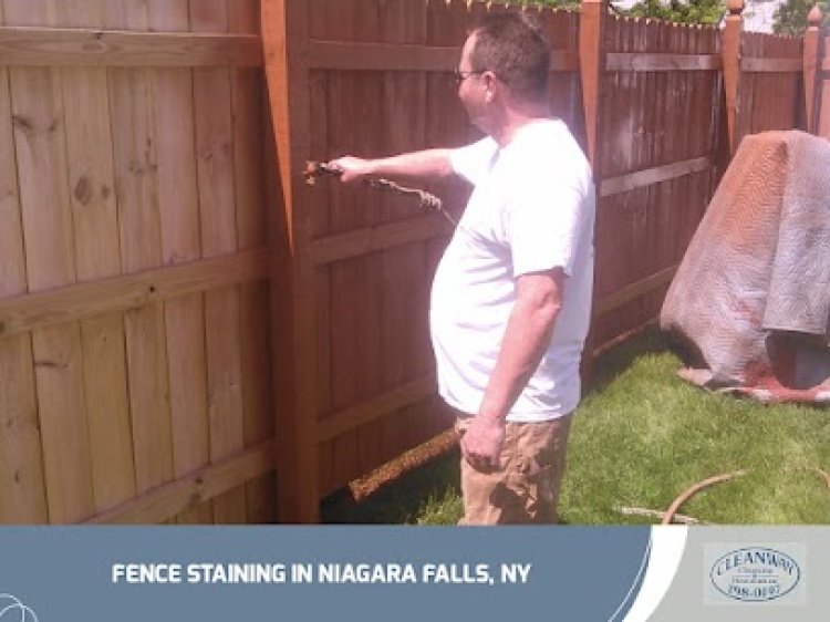Fence staining company near me | Cleanway Painters