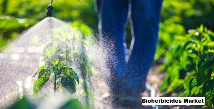 Bioherbicides Market to Grow with a CAGR of 7.02% through 2029