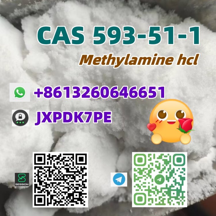 CAS 593-51-1 Methylamine hcl high quality best sell factory supply whatsapp:+8613260646651