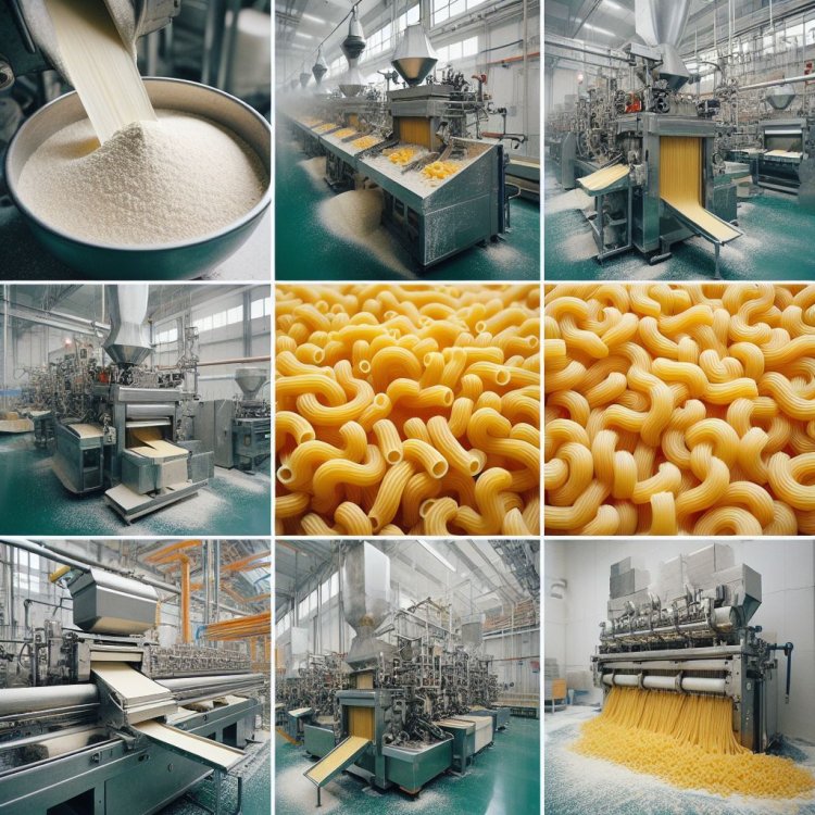 The Intricate Process of Making Macaroni in a Factory