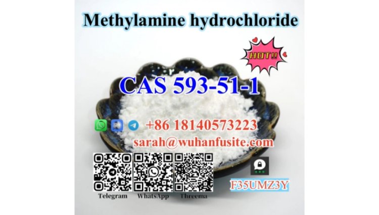 Factory Supply CAS 593-51-1 BK4 Methylamine hydrochloride with High Purity