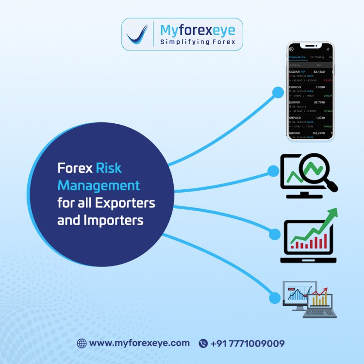 Take Control of Currency Risk: Partner with Our Trusted Forex Risk Management Team
