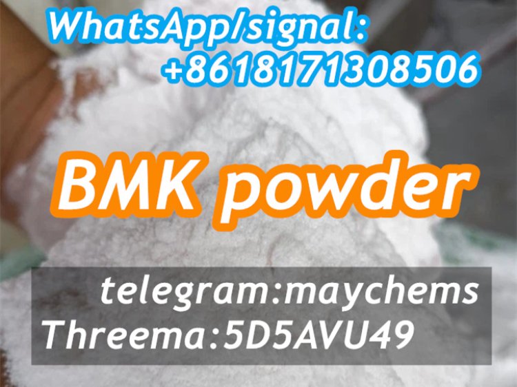 High Quality Glycidic Acid (sodium salt) BMK Powder 5449-12-7